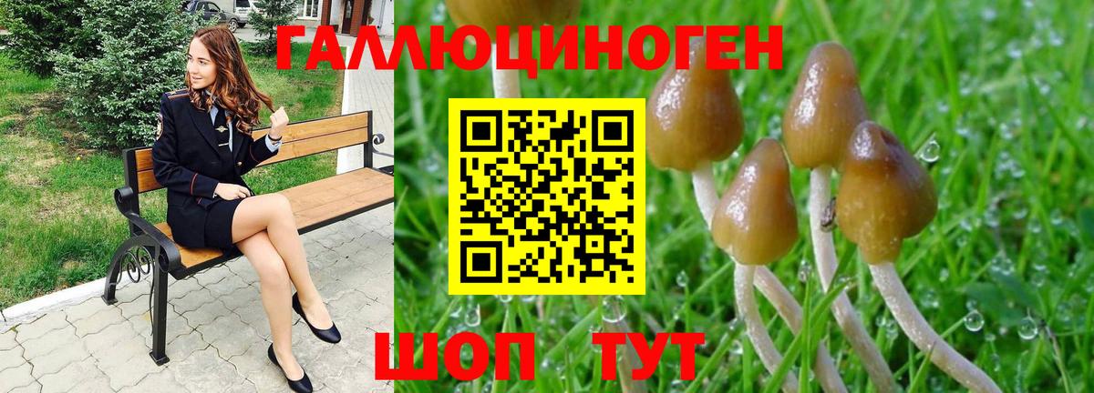 Арзамас  Псилоцибиновые грибы Psilocybine cubensis  Вход с VPN  Псилоцибиновые грибы мухоморы 